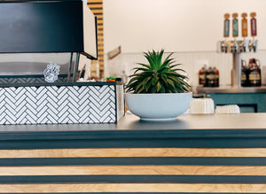 Haven Coffee Co. gallery